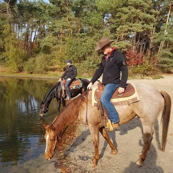 Foto 4
