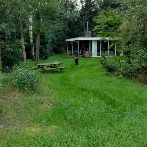 Foto 1