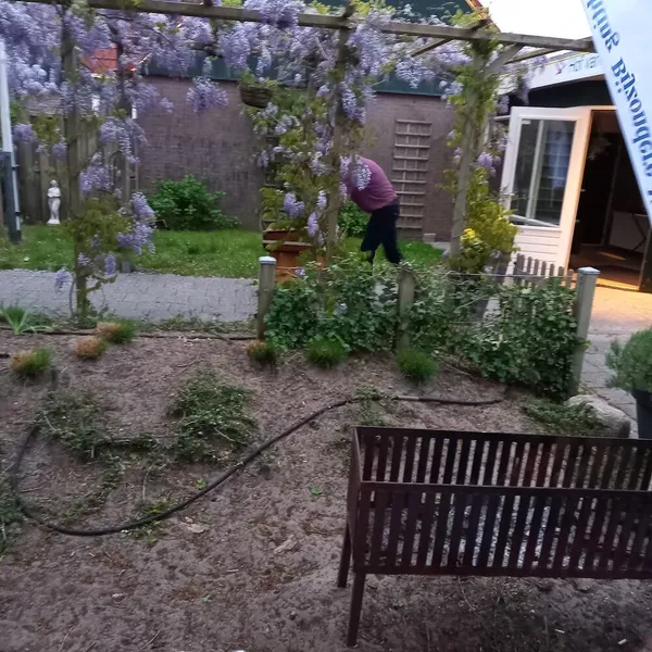 Image 6