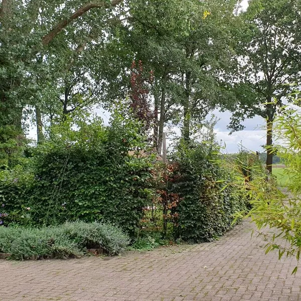 Foto 7