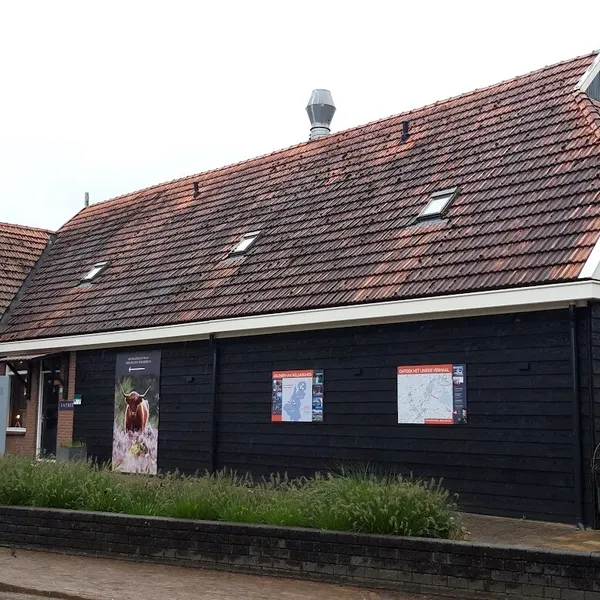 Image 6