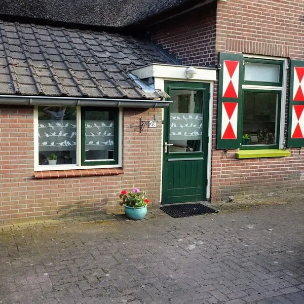 Foto 5