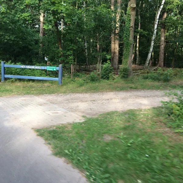 Foto 5