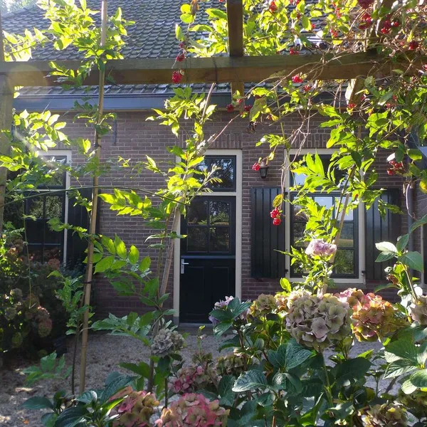 Image 6