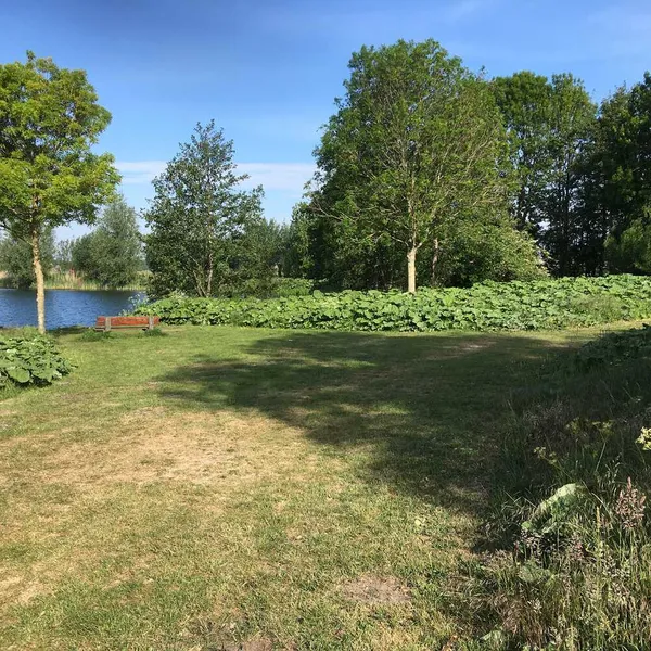 Foto 10