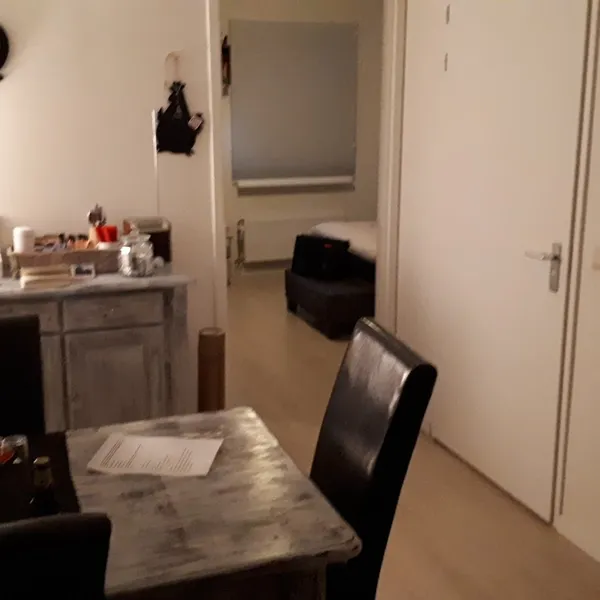 Foto 7