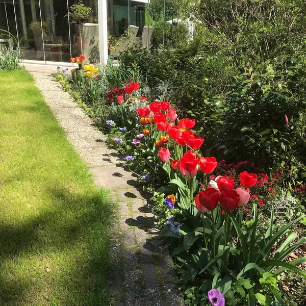 Image 7