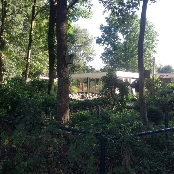 Image 10