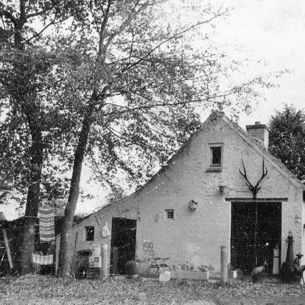 Image 9