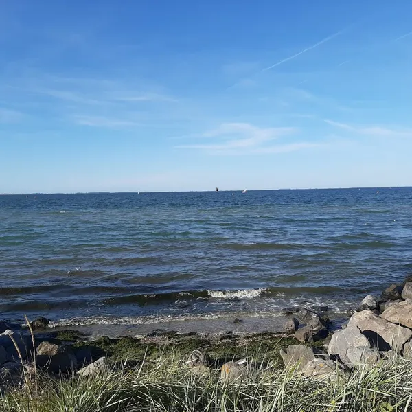 Image 10