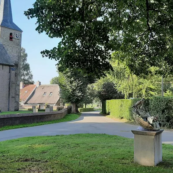 Image 8