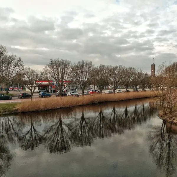 Image 8
