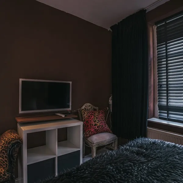 Image 5