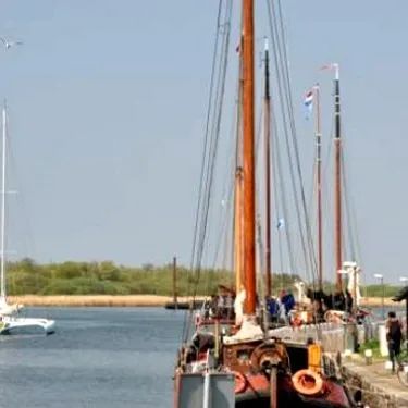 Image 14