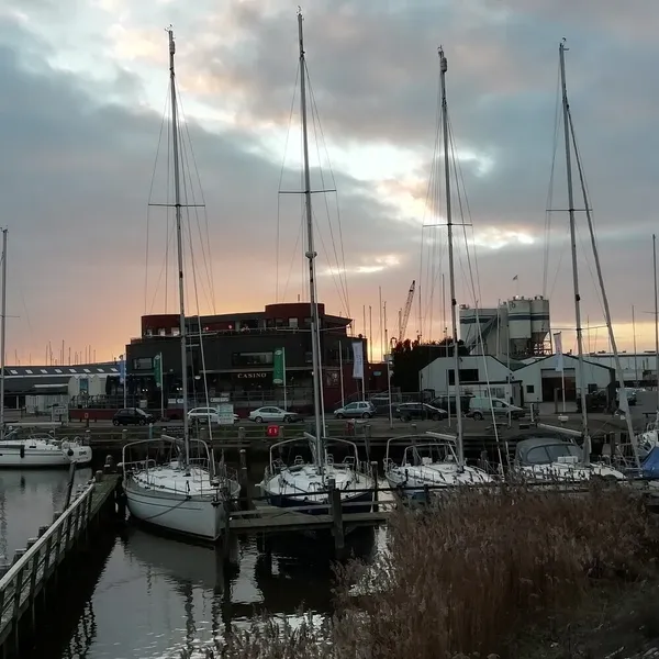 Image 8