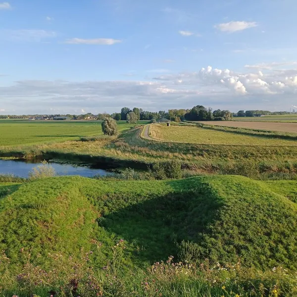 Image 9