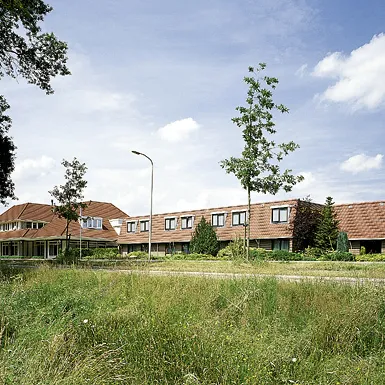 Image 12