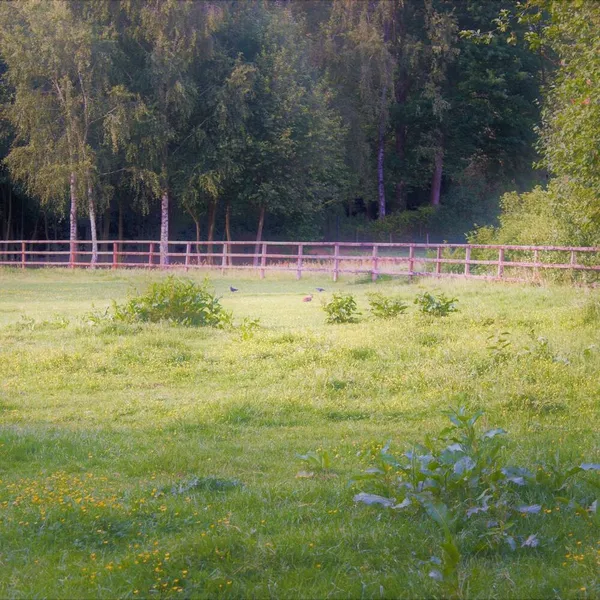 Image 9