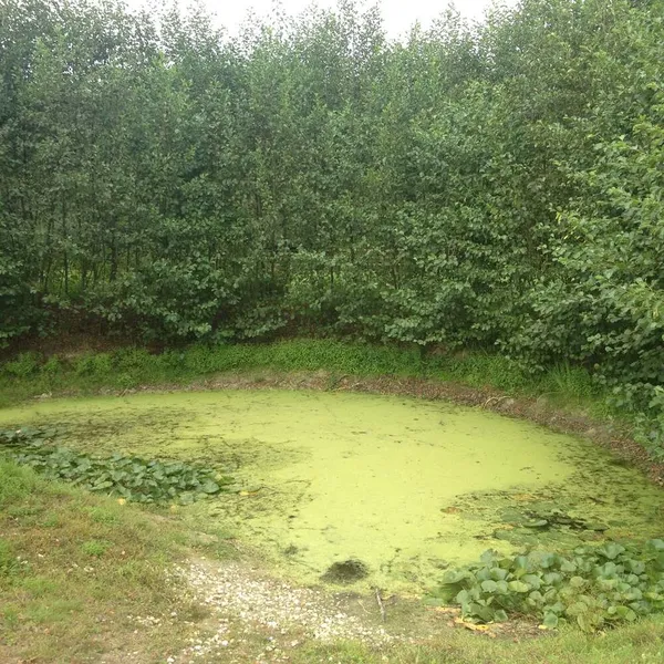 Image 10