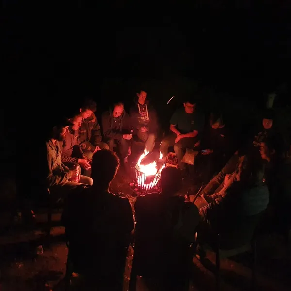 Image 4