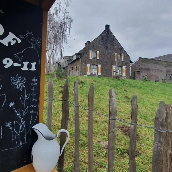 Image 6