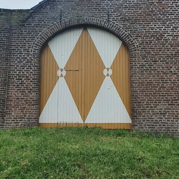 Image 7