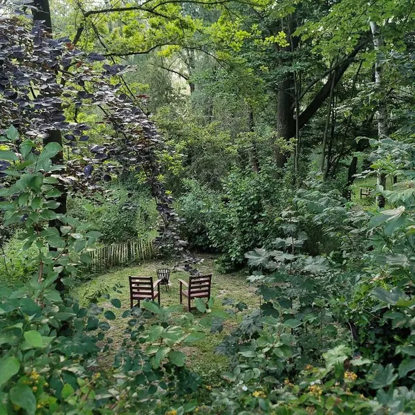 Image 9