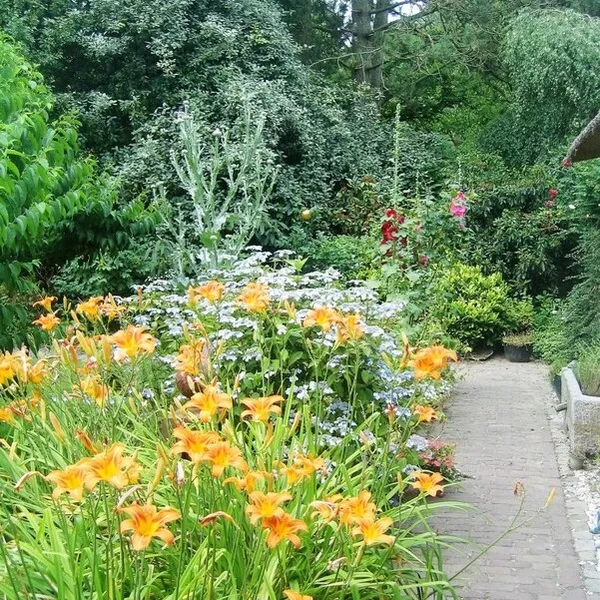 Foto 9