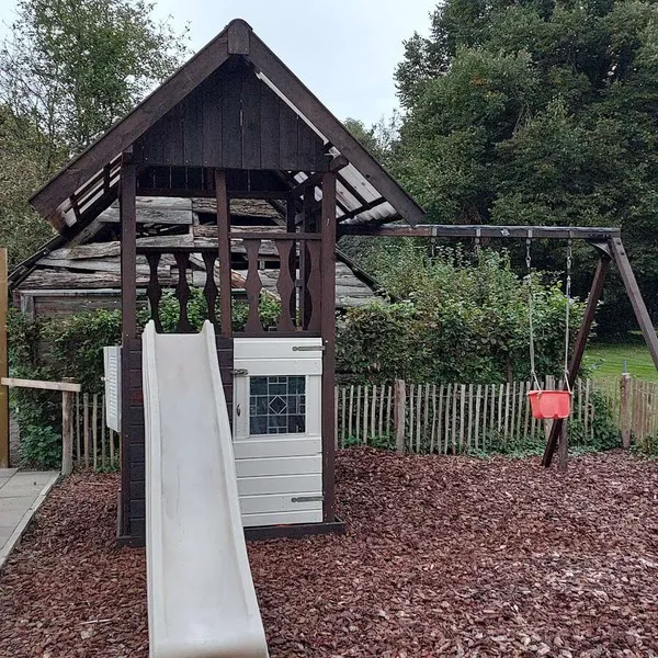 Image 7