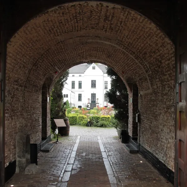 Image 4