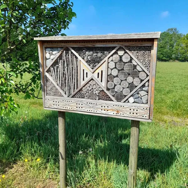 Image 8
