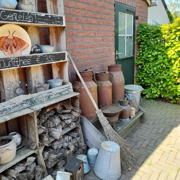 Image 10