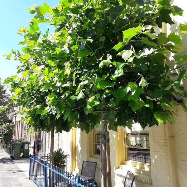 Foto 5