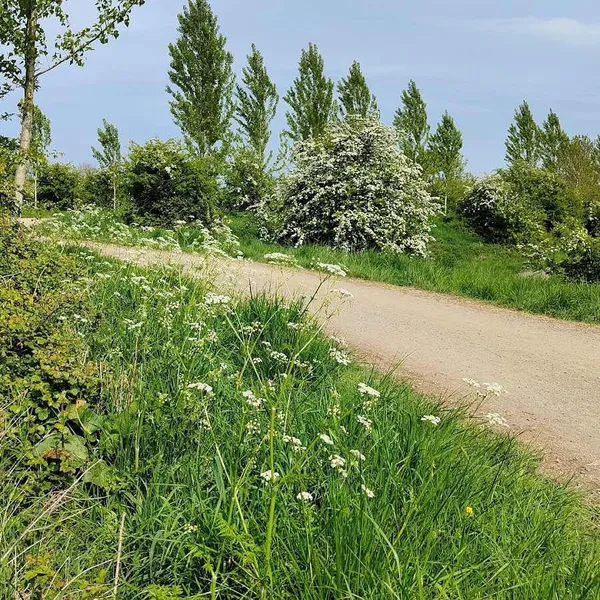 Foto 9