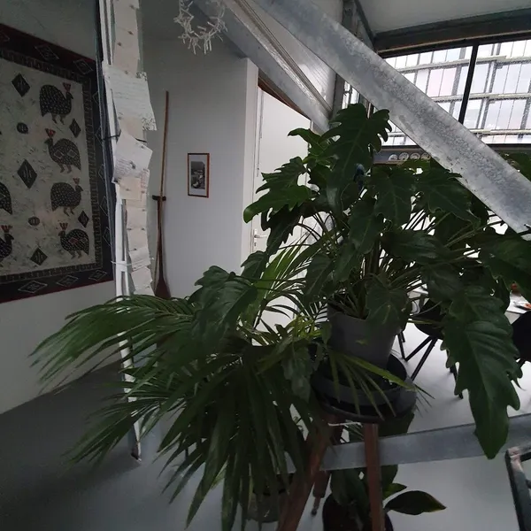 Foto 10