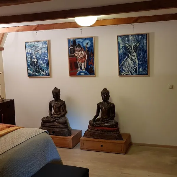 Image 7