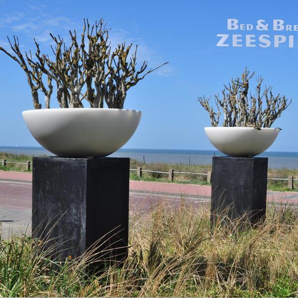 Book On The Own Website Of B&B Zeespiegel.