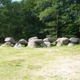 Foto 10