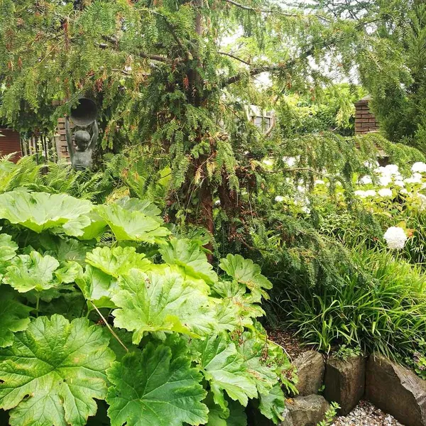 Foto 7