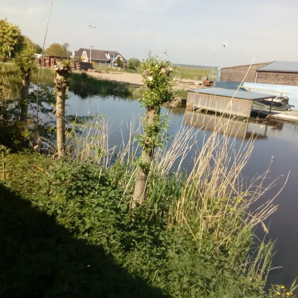 Foto 9