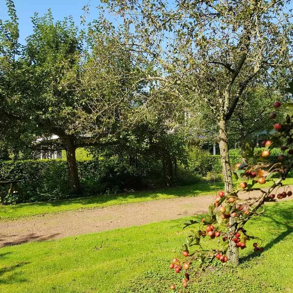 Foto 10