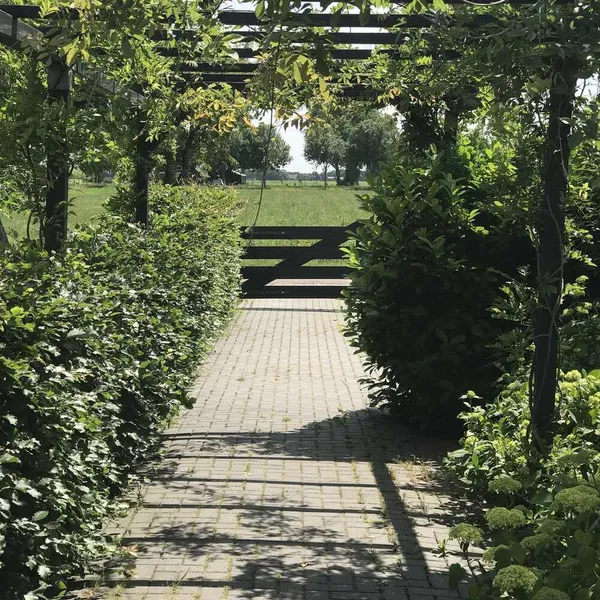 Foto 7