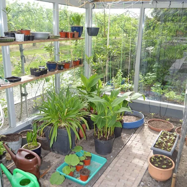 Foto 9