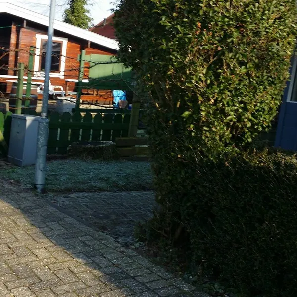 Foto 5