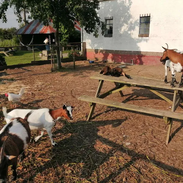 Foto 10