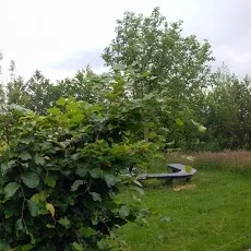 Foto 10