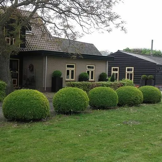 Foto 1