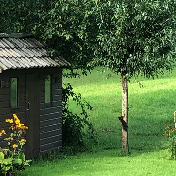 Foto 10