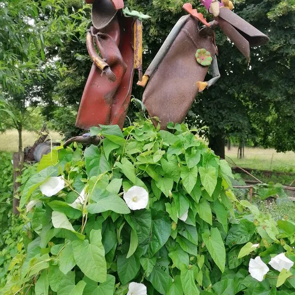 Foto 4