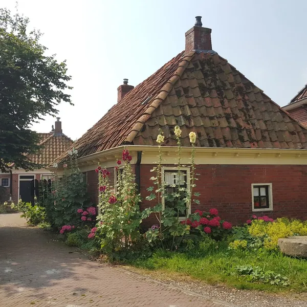 Foto 1